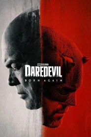 Daredevil Born Again Season 1&2