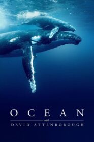 Ocean with David Attenborough (2025)