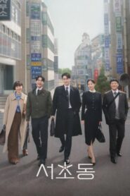 Law and the City (2025) Season 1