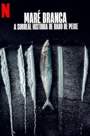 Turn of the Tide The Surreal Story of Rabo de Peixe 2025 อาชญากรน้ำเค็ม เปิดเรื่องจริงสุดเหลือเชื่อ