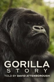 A Gorilla Story Told by David Attenborough (2026) เล่าเรื่องกอริลลา โดยเดวิด แอทเทนเบอเรอห์