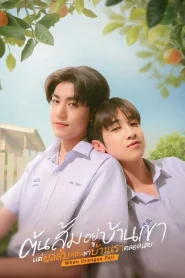 When Oranges Fall (2026) ต้นส้มอยู่บ้านเขา แต่ผลส้มหล่นมาบ้านเราตลอดเลย