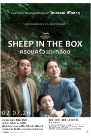 Sheep in the Box (2026) ครอบครัวแกะกล่อง