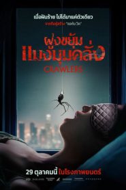 Crawlers (2026) ฝูงขยุ้มแมงมุมคลั่ง