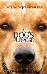 A Dog’s Purpose (2017) หมา เป้าหมาย และเด็กชายของผม