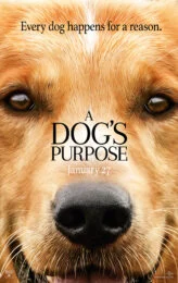 A Dog’s Purpose (2017) หมา เป้าหมาย และเด็กชายของผม
