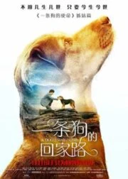 A Dog’s Way Home (2019) เพื่อนรักผจญภัยสี่ร้อยไมล์