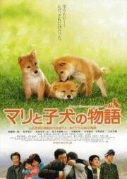 A Tale of Mari and Three Puppies (2007) เพื่อนซื่อ ชื่อ มาริ