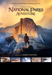 America Wild National Packs Adventure (2016) ผจญภัยในอุทยานแห่งชาติ(Soundtrack ซับไทย)