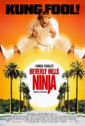 Beverly Hills Ninja (1997) ตุ้ยนุ้ยนินจาฮากลิ้ง