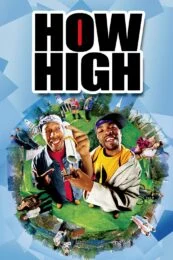 High & Low The Movie (2016)