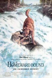 Homeward Bound: The Incredible Journey (1993) สองหมาหนึ่งแมว ใครจะพรากเราไม่ได้