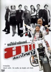 I Am Grandmother (2010) ยายสั่งมาใหญ่