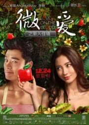 Love on the Cloud (Wei ai zhi jian ru jia jing) (2014) รสรักร้อยกลีบเมฆ