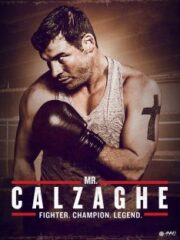 Mr Calzaghe (2015) นายคัลซาเก