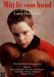 My Life as a Dog (Mitt liv som hund) (1987) ชีวิตของฉันคือหมา