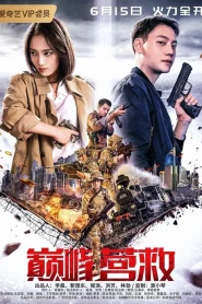 Peak Rescue (Dian feng ying jiu) (2019)