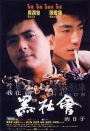 Triads The Inside Story (1989) โหดต้องโทษดวง