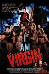 Virgin Relationship 2 (2010) ลองรักวัยบริสุทธิ์2
